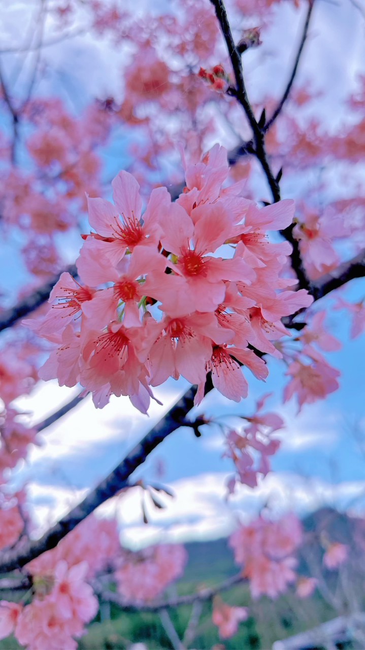 花火銀河風景攝影圈