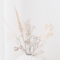 【長崎】女性限定の交流場💐