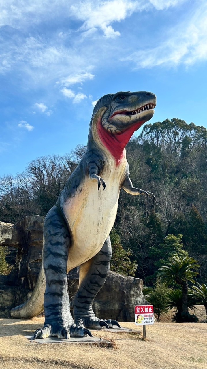 笠岡、福山のお部屋