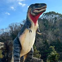 笠岡、福山のお部屋