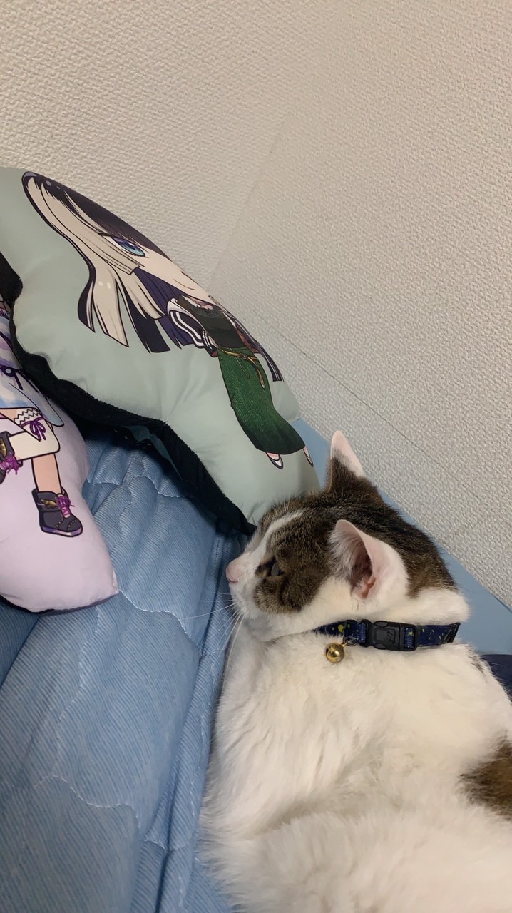クロのファンクラブ