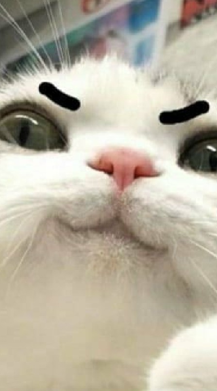 [แก๊งบ้า]{whta}