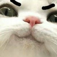 [แก๊งบ้า]{whta}