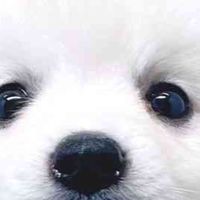 パニック障害の方とお話ししたい🌳