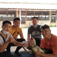 ซุ้ม.เพชรปงสนุก ลำปาง