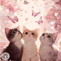 癒しのまったり空間💕