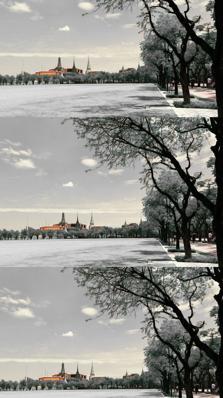 ปฐมพยาบาลเบื้องต้น