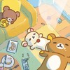 🧸リラックマ愛好会🧸