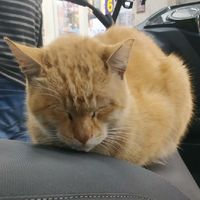 團體身心互助室。
