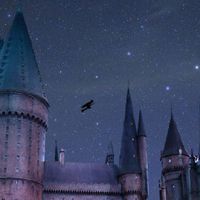 💙magic school💚โรงเรียมเวทมน