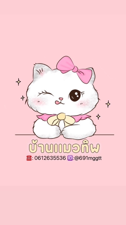 Thiphousecat- แมวบ้านทิพ