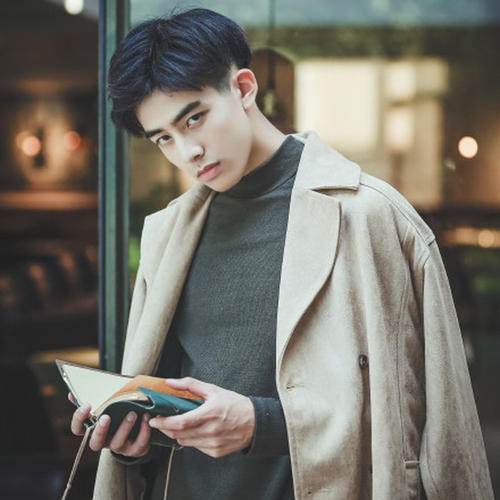 「網紅轉演員」成功的陸劇明星1：宋威龍