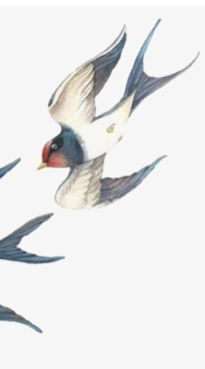 勞燕分飛