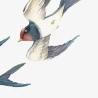 勞燕分飛