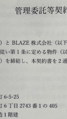 ReVie/Blaze/被害者の会　#レビー　#ブレイズ