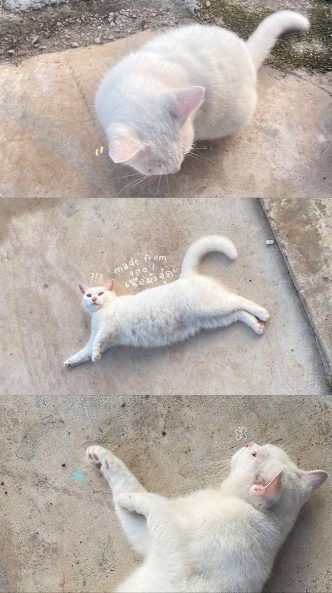 ส่งเพลงห้ายกำลังจุย🫰🏻