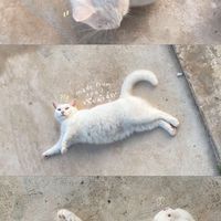 ส่งเพลงห้ายกำลังจุย🫰🏻