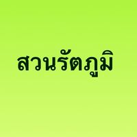 อัพเดทสวนรายวัน