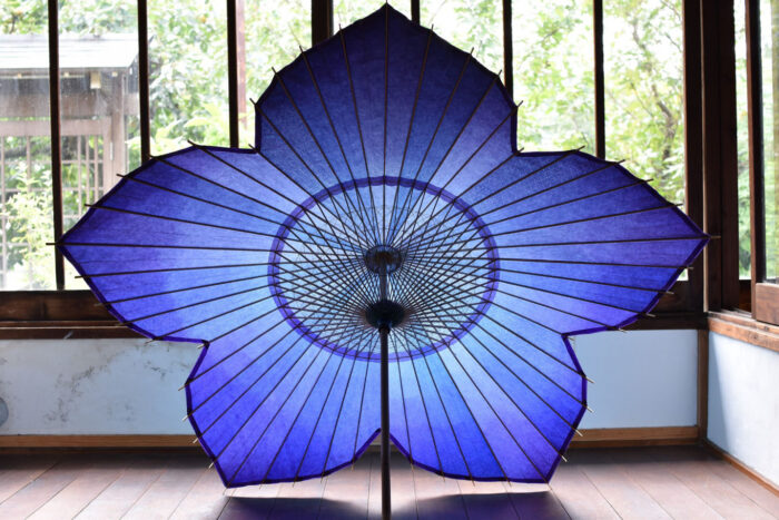 傘日和_桔梗和傘