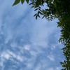 IRIS交流会