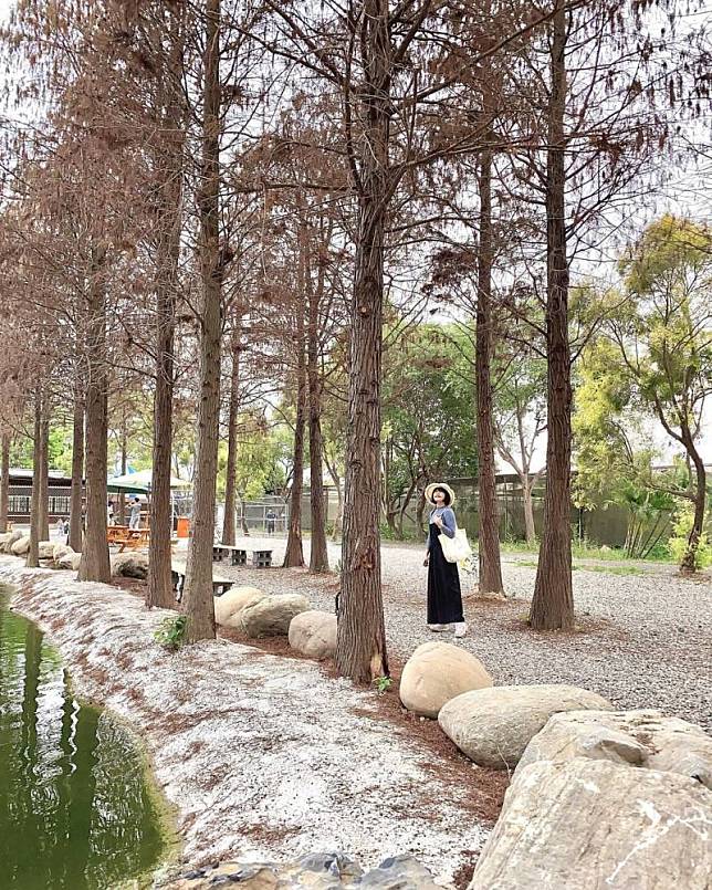 ▲圖片來源：IG@ying__my_life