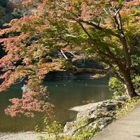 銀色蛋玩（日本連線代購，零食、公仔、扭蛋）