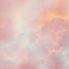 Träumerei：表禁制全也