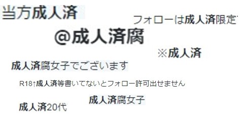 推特上 成人済み 的意思 Line購物