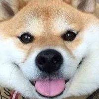 キノコ伝説S253 菌族maris