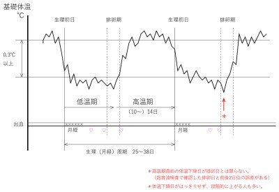 時 基礎 体温 例 妊娠