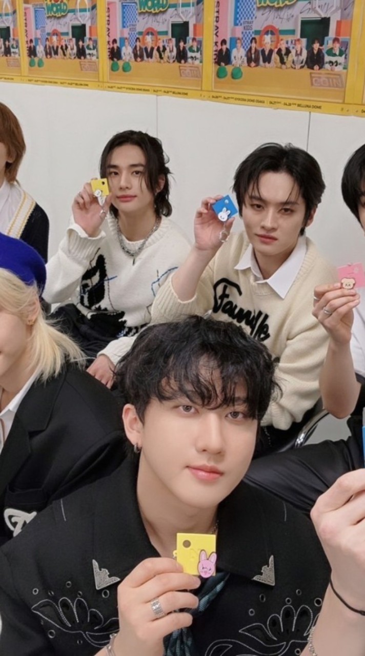 straykids大集会〜╰(*´︶`*)╯