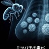 肺がん、大腸癌が治ったまたは小さくなった方とその家族、諦めてない方のお話広場