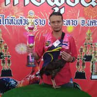 ซุ้มโอรสฟาร์ม