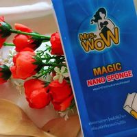ฟองน้ำmsrwow