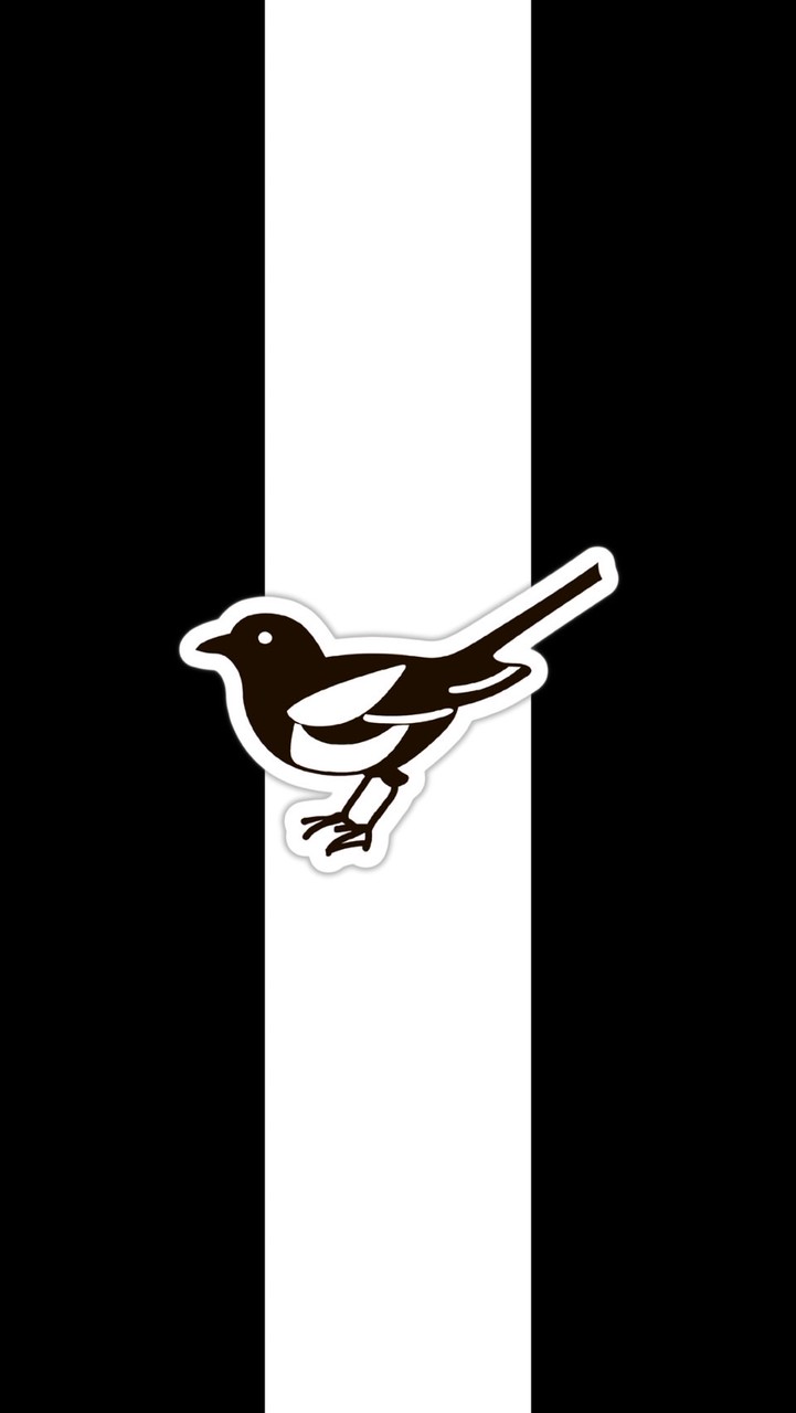 紐卡索聯臺灣黑白軍團