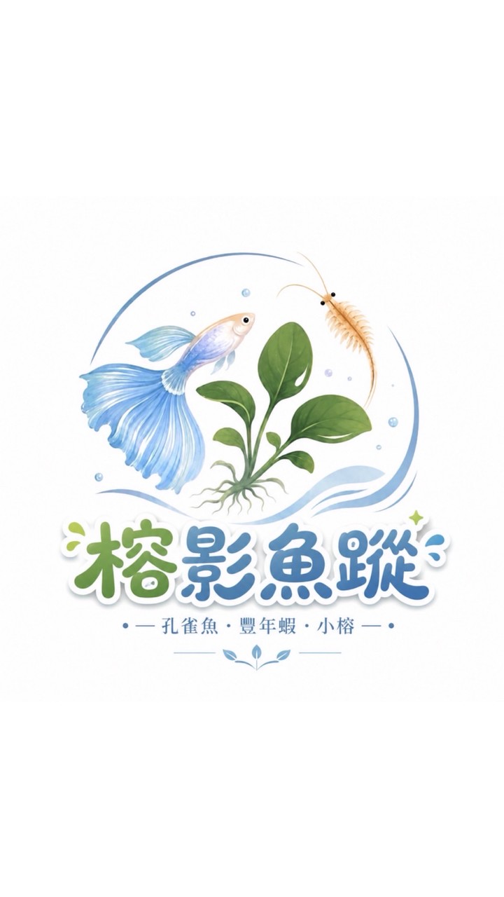 榕影魚蹤
