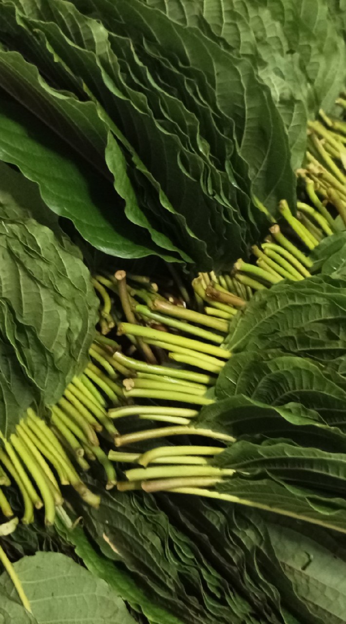 "Special'โคตรยันส์ ❗