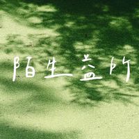 陌生益所