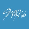 Straykids 飯拍買賣