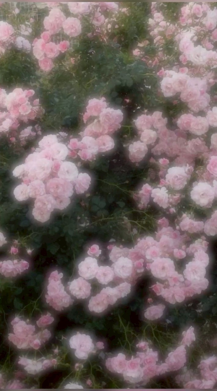 君以外いない！ ：♡ 全夢ハント風固定