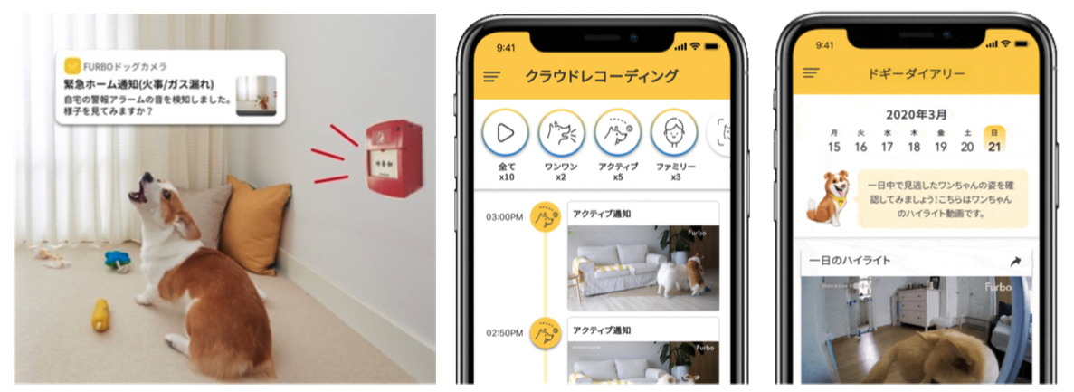 日本初 Aiを活用した Furbo ドッグシッター サービスがスタート
