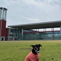 10/14 わんダフルフェス(あらみや公園)