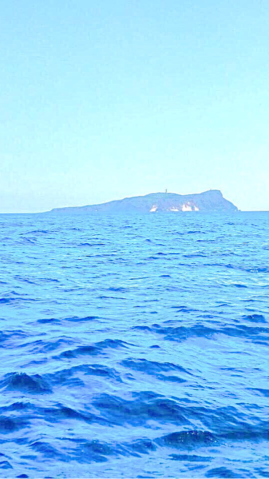 福榮現撈船釣水產船團