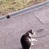 かまって欲しい子おいで？