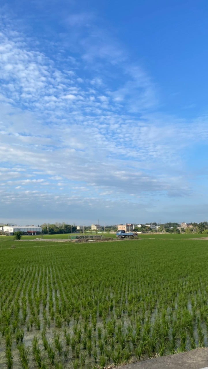 慧養生蔬食