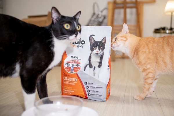 「寵物飼料」紐樂芙nulo freestyle 火雞肉口味貓咪飼料開箱分享