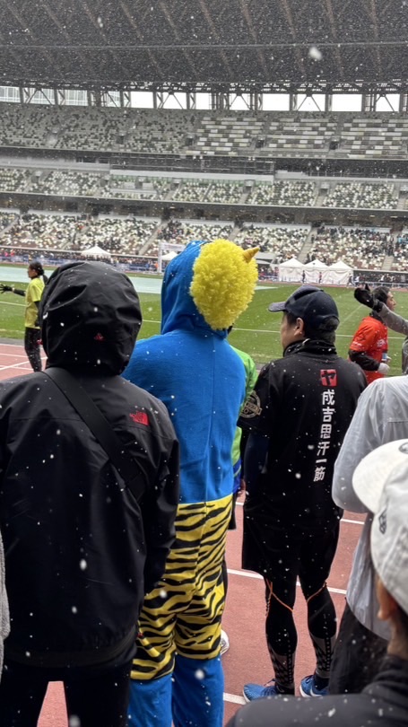 この木なんの木完走する気