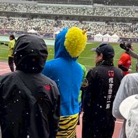 この木なんの木完走する気