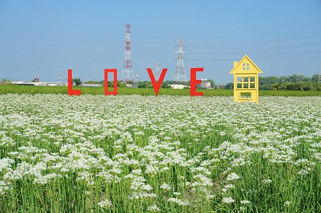 ▲圖片來源：攝影師徐世超