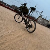 チャリドリ勢専用オプ　初心者大歓迎